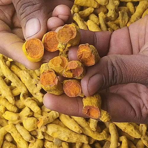 turmeric finger