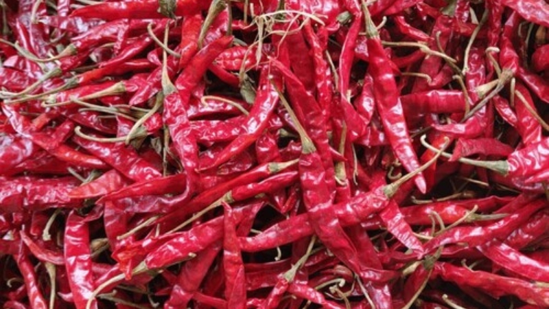Whole Indian Red Chili 